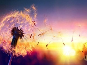 AI漫剧，短中之短，全新视觉体验？